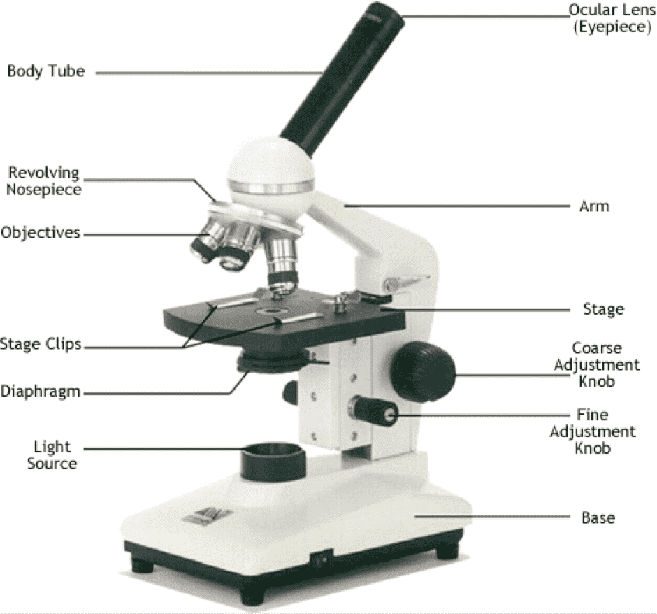 اجزای میکروسکوپ