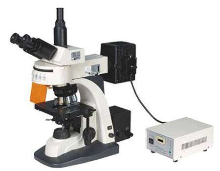 میکروسکوپ فلورسنت MF606